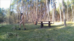 SIEWIERZ - parking leśny 20260322_0851.mp4_snapshot_00.17_[2026