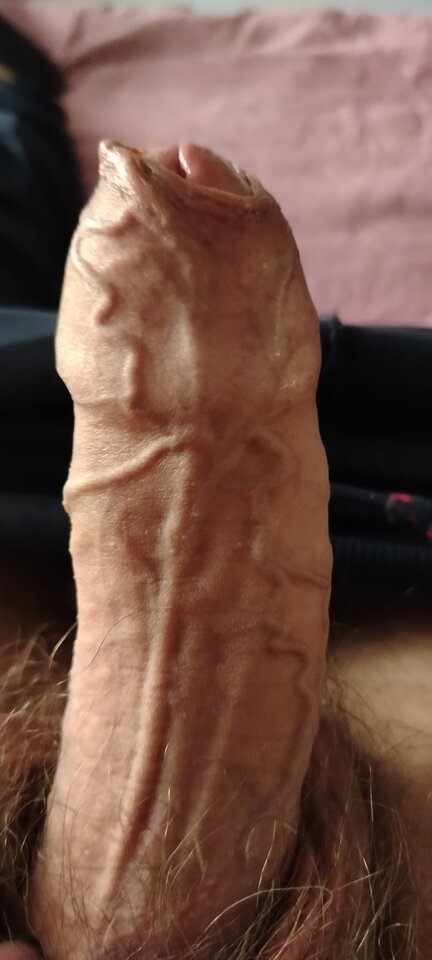 1000004033.jpg - XMiko77