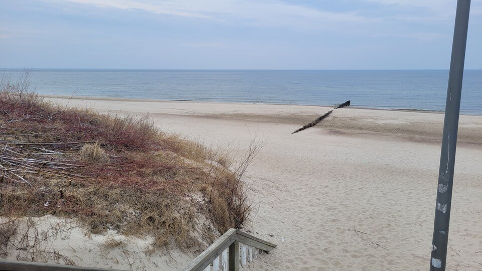 20260324_162930.jpg - olo_sl