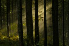 IMG_9003.jpeg