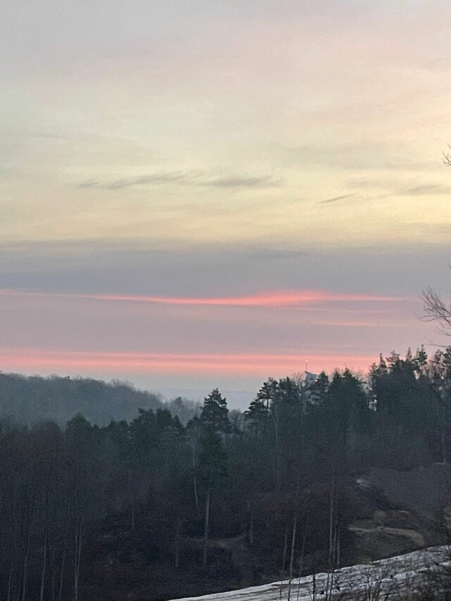 NIEDZWEDZMati32