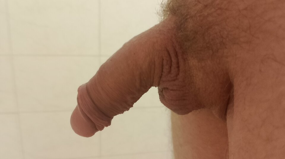 1000006740.jpg - AlukasZ1980pl