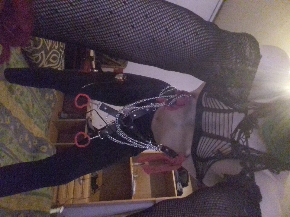 20260325_112343.jpg - BiSlaveBitch