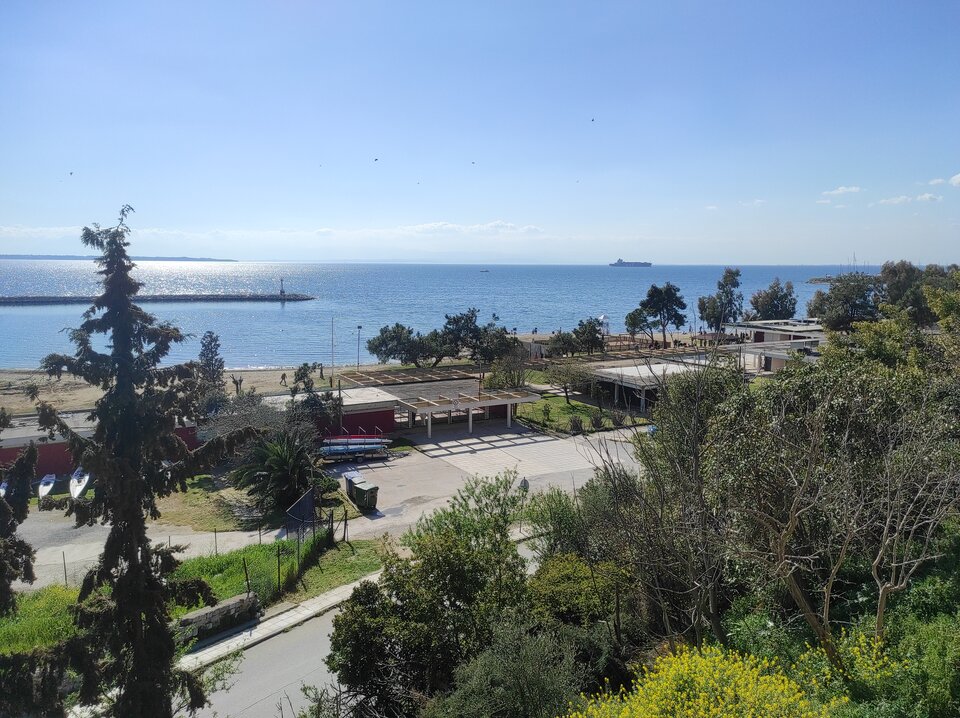 IMG_20260325_145334.jpg - Camilllla