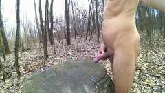 CHECHŁO - wielki kamień 20260325_1344.mp4_snapshot_02.17_[2026