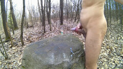 CHECHŁO - wielki kamień 20260325_1344.mp4_snapshot_02.12_[2026