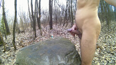 CHECHŁO - wielki kamień 20260325_1344.mp4_snapshot_02.00_[2026