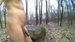 CHECHŁO - wielki kamień 20260325_1344.mp4_snapshot_02.20_[2026