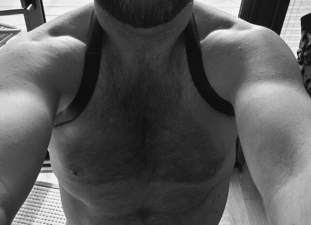 to_bedzie_doskonaly_rok