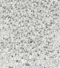 IMG_4027.jpeg
