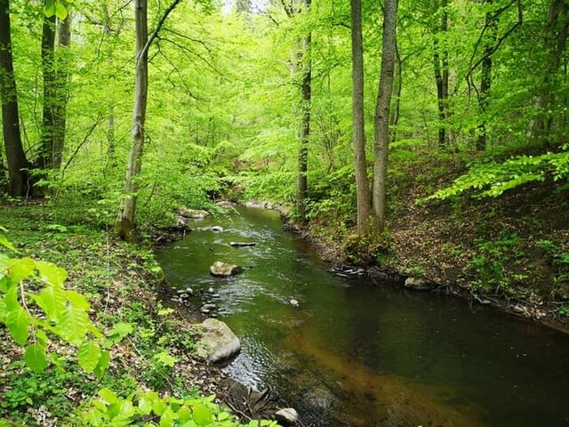 6870.jpg - Robertleszy