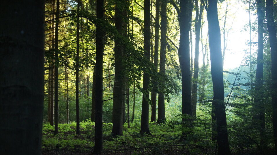 6924.jpg - Robertleszy