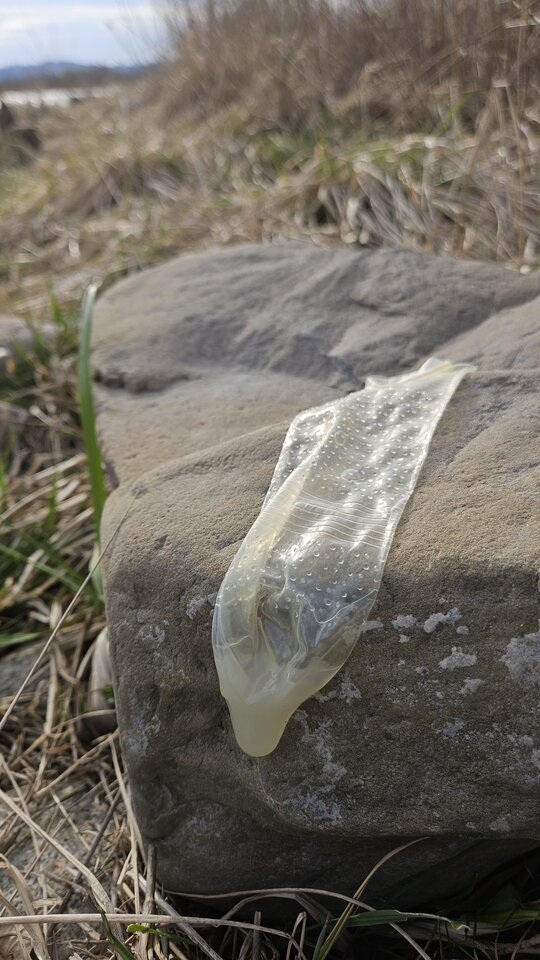 1000052007.jpg - nowytomas