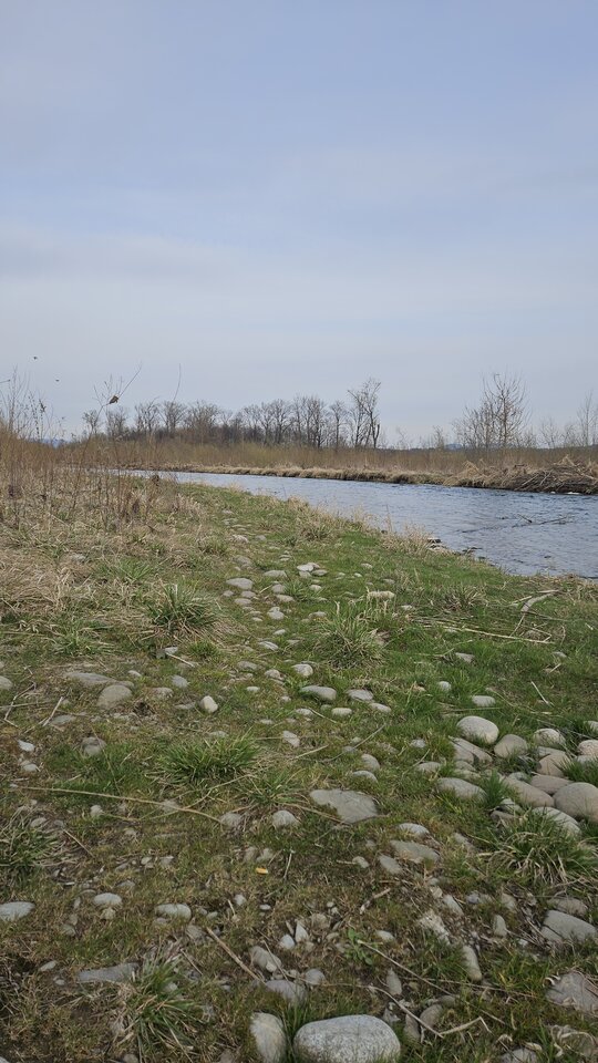 1000052034.jpg - nowytomas