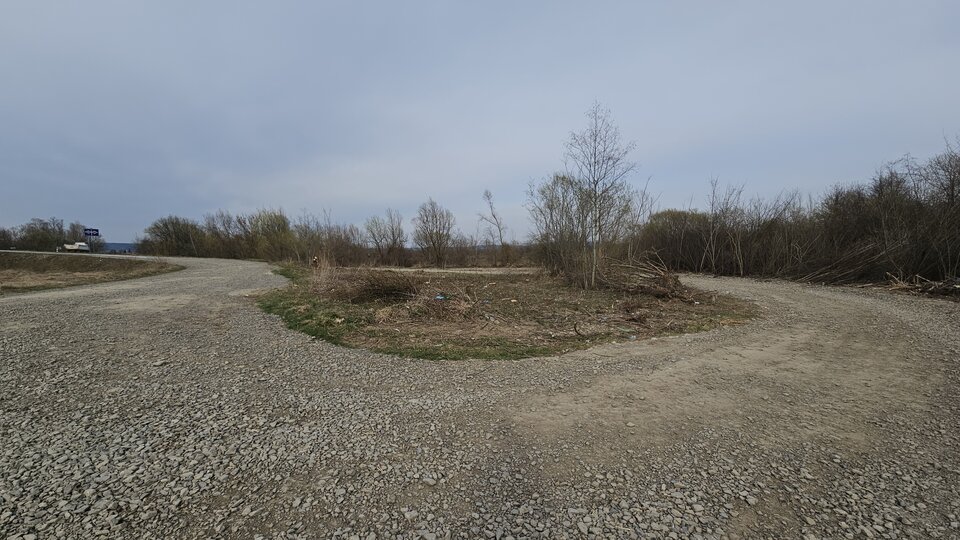 1000051976.jpg - nowytomas