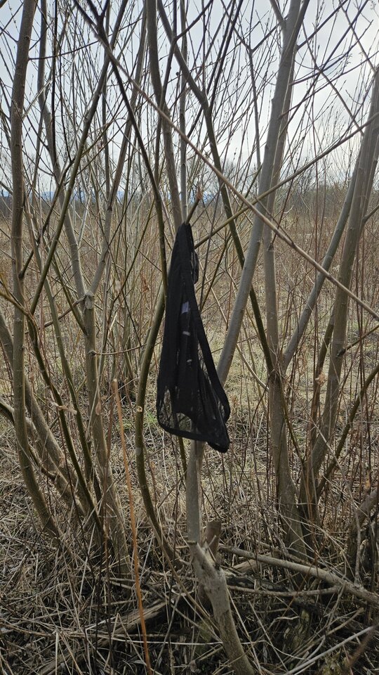 1000051999.jpg - nowytomas