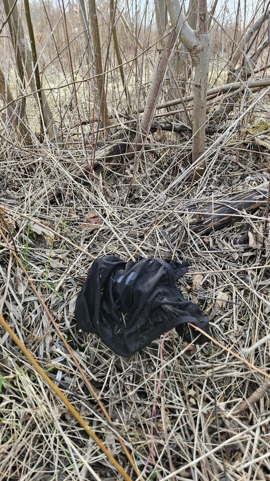 1000051861.jpg - nowytomas