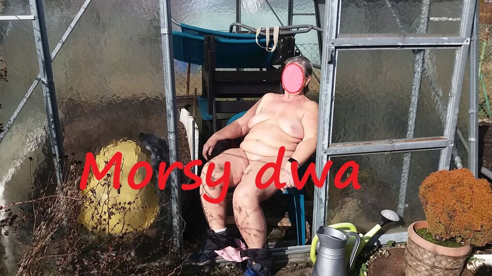 Słoneczny relaks. - Morsy_dwa