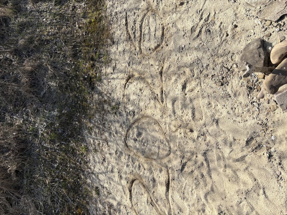 IMG_2631.jpeg - DolinaPrzyjemnoscii