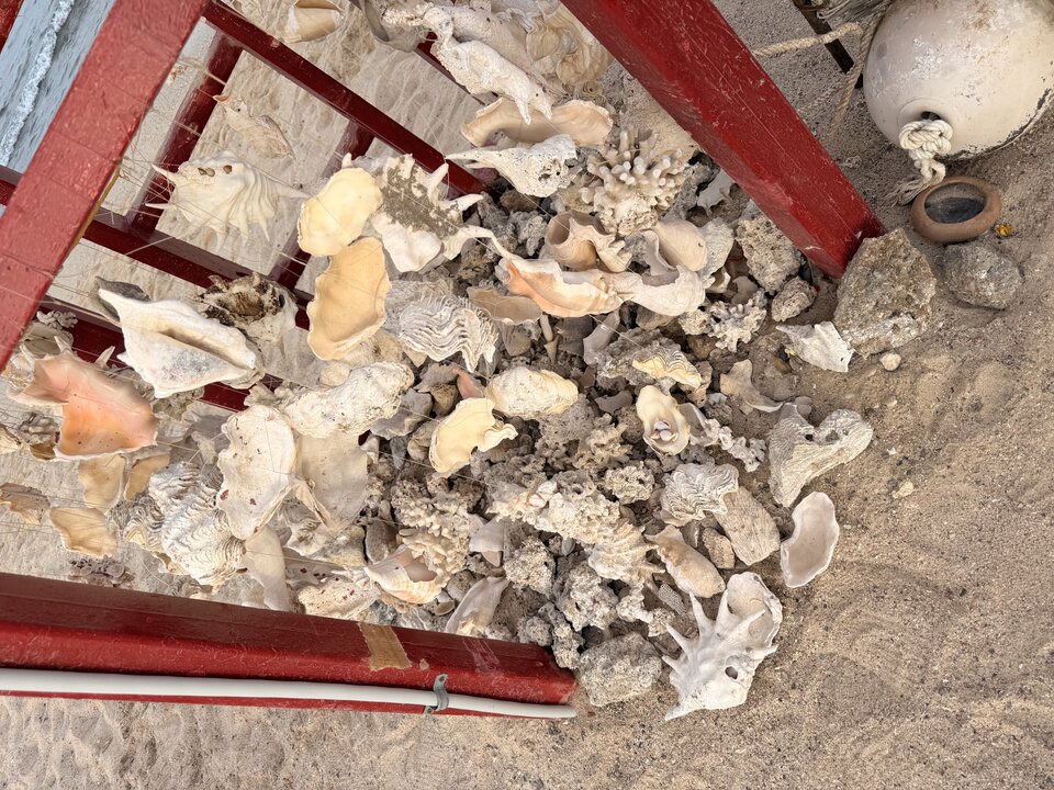 IMG_6693.jpeg - Nudesia777