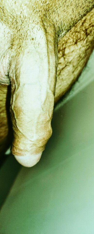 IMG_20251026_094435180~16.jpg - PIOTR056991