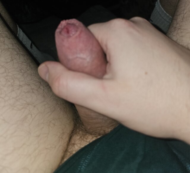 FanRajstopOrazPonczoch