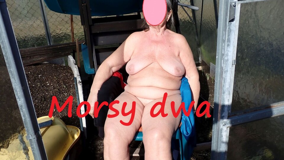 W słoneczku. - Morsy_dwa