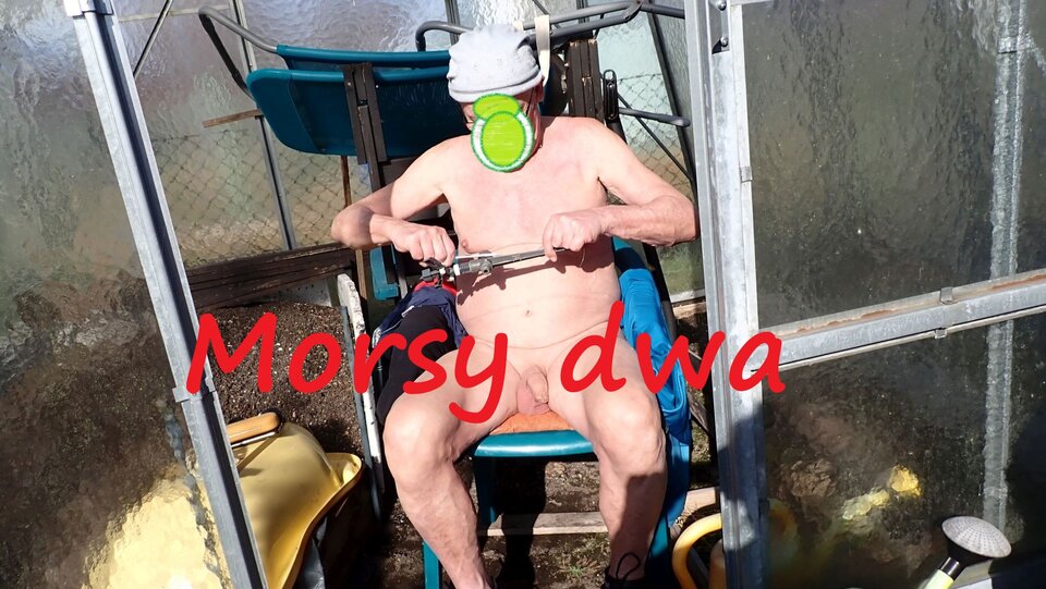 W słoneczku. - Morsy_dwa