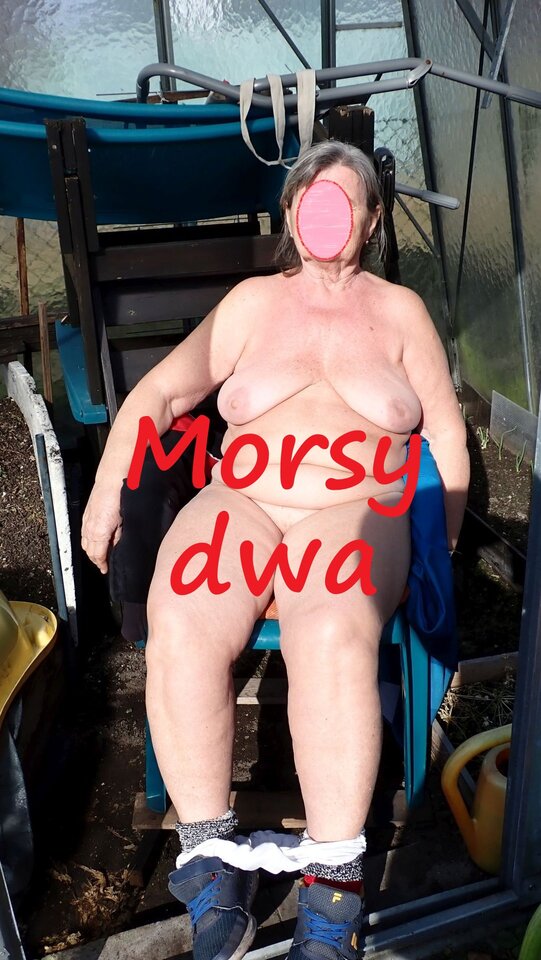 W słoneczku. - Morsy_dwa
