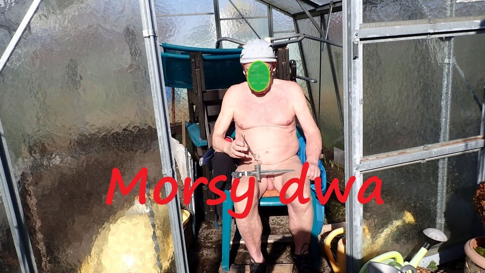 W słoneczku. - Morsy_dwa