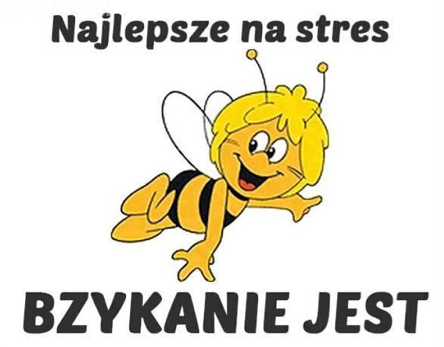 1444236445_zehqsc_600 (1).jpg - OptymistaR