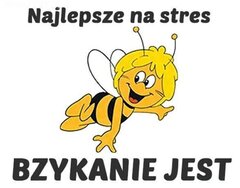 1444236445_zehqsc_600 (1).jpg