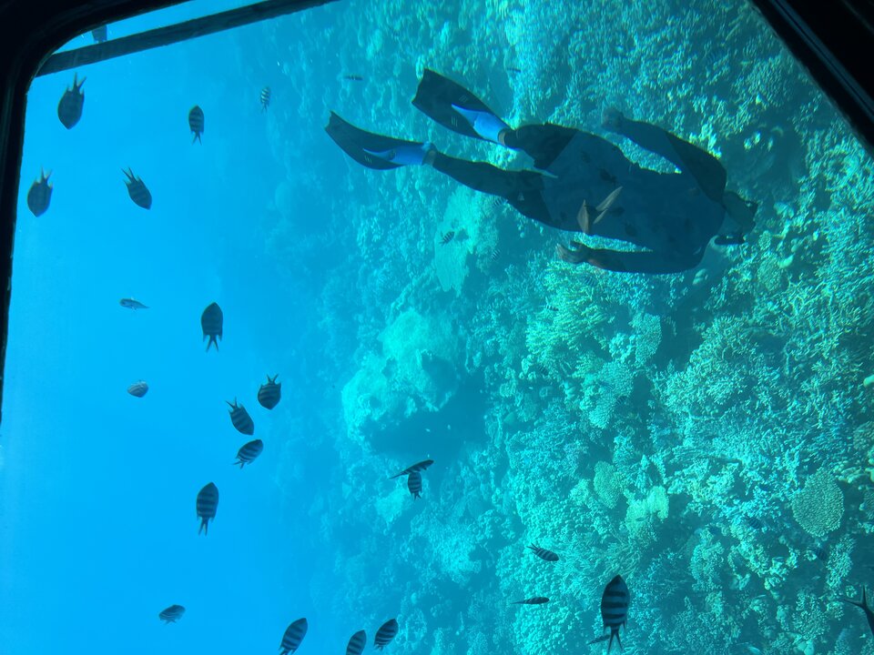 IMG_3687.jpeg - tom745