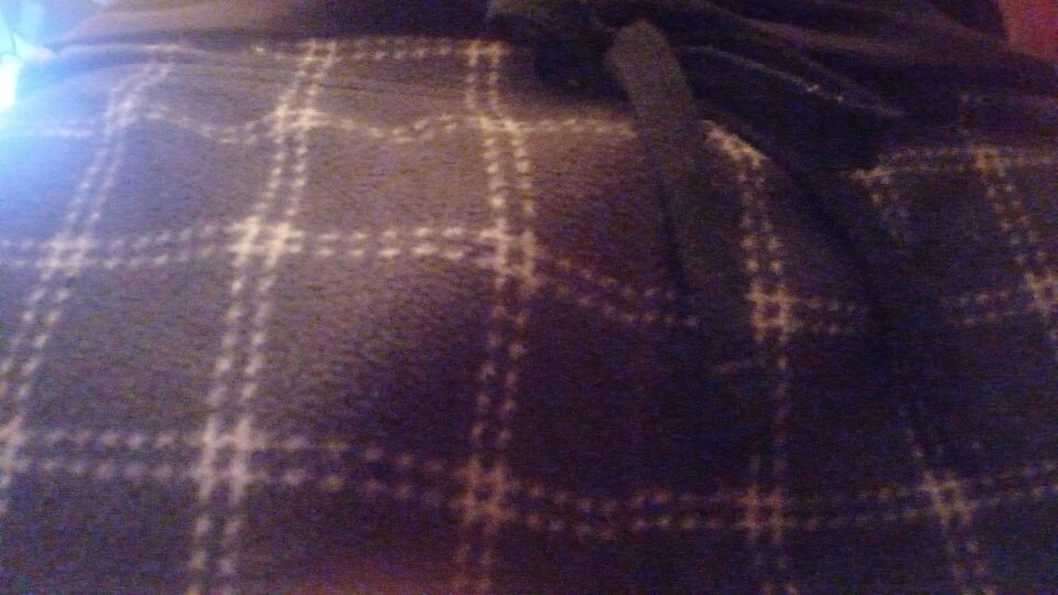 1000002778.jpg - Robin800