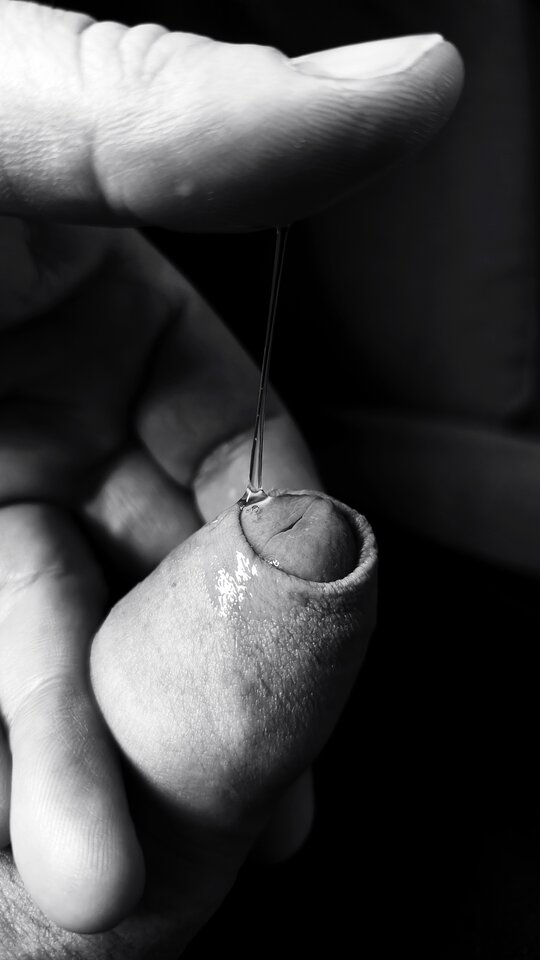 1000026581.jpg - 86_78