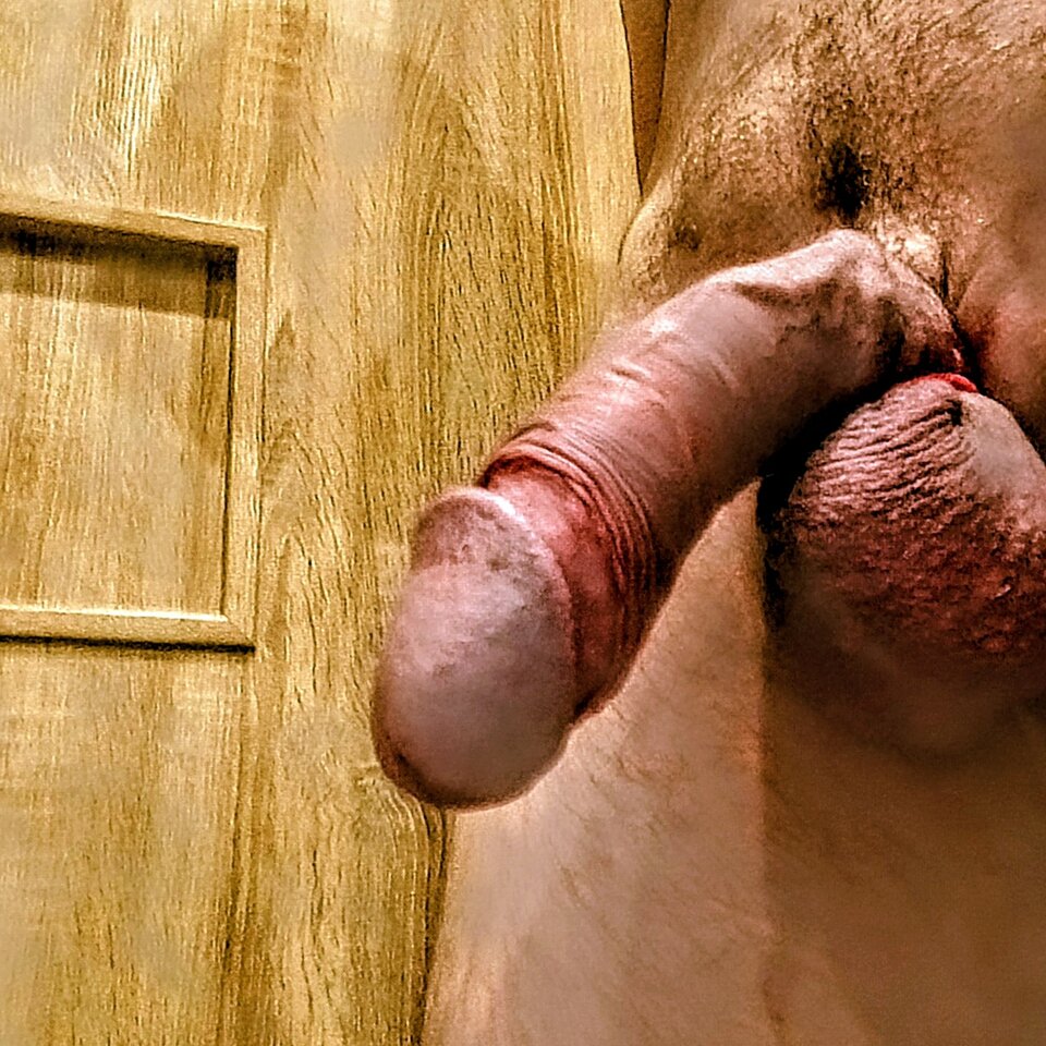 IMG_20251015_004539556~3.jpg - LIBIEeksperymentyORAL