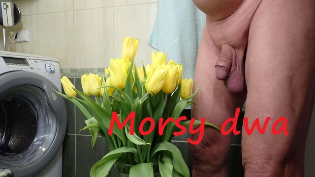 Morsy_dwa