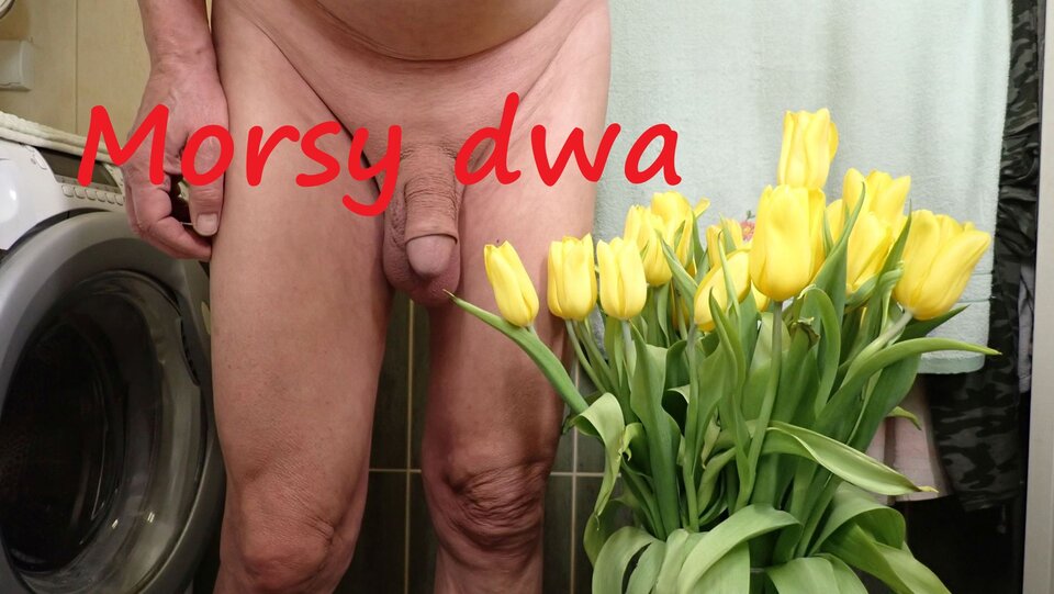 Z kwiatkami. - Morsy_dwa