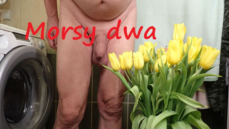 Z kwiatkami. - Morsy_dwa