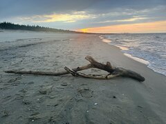 IMG_2887.jpeg