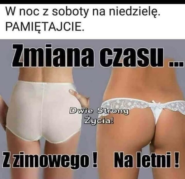 1000017522.jpg - BazyliaOregano