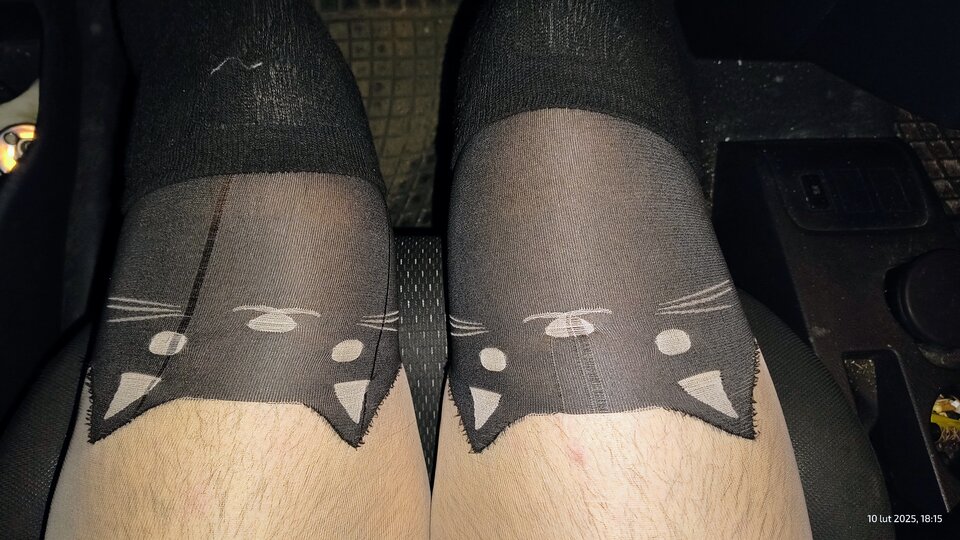 32c0993e-ba9e-42c8-a31a-1f2fffbd6106-1_all_930.jpg - CD_Pussy