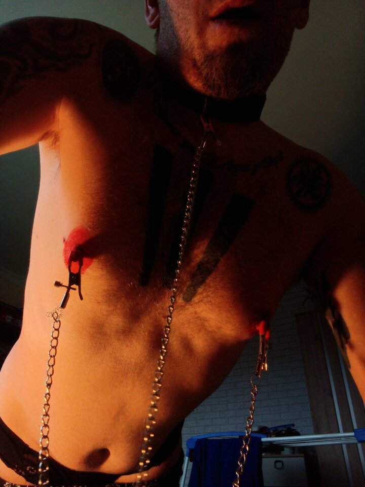 1000003541.jpg - TomPerv2