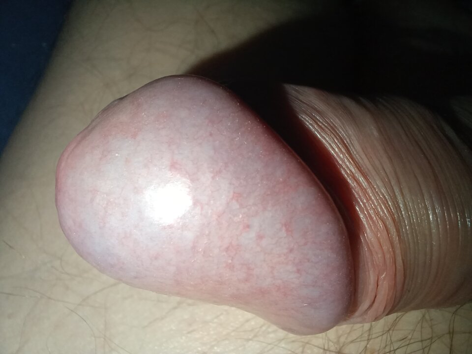 1000066735.jpg - arar666