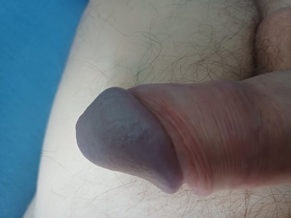 1000066734.jpg - arar666