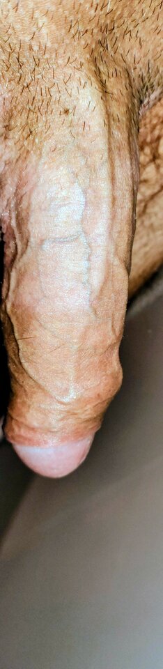 IMG_20251026_094435180~18.jpg - PIOTR056991