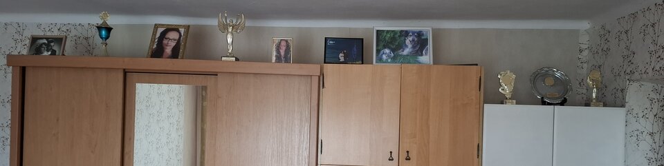 20260329_142655.jpg - MusicIsTheStrongersFormOfMagic