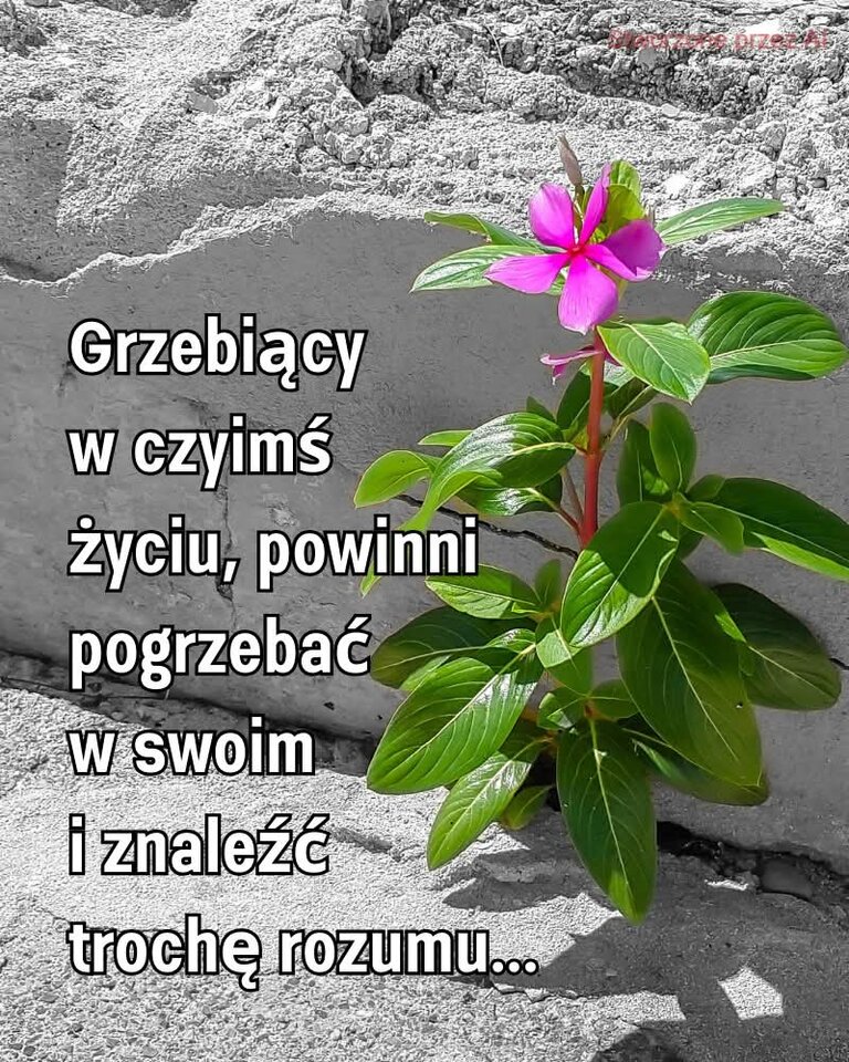 WhatsApp Image 2026-03-29 at 15.15.37.jpeg - Uranos80