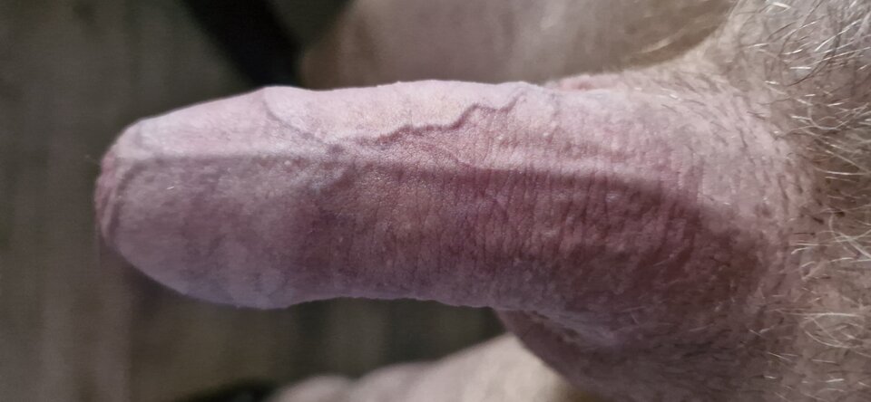 1000105304.jpg - KRUK999