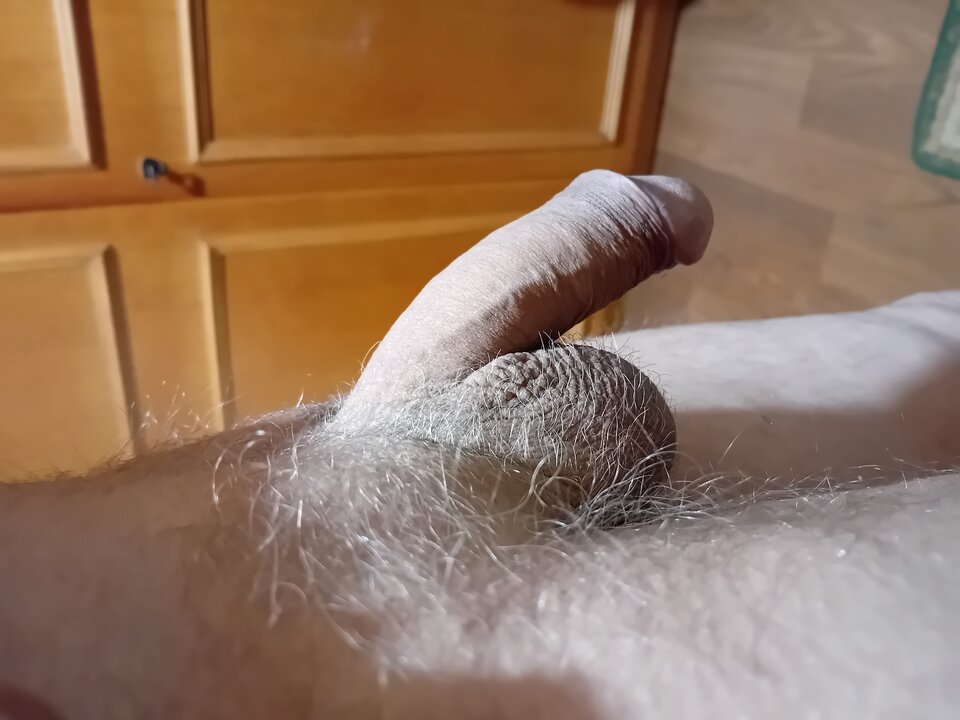 1000013914.jpg - brus13